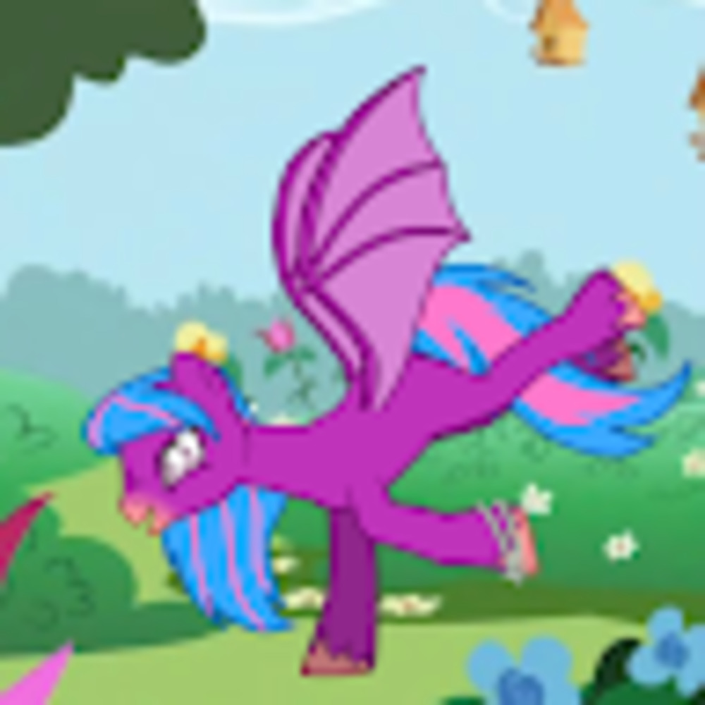 Meet your Posher, Nixa de